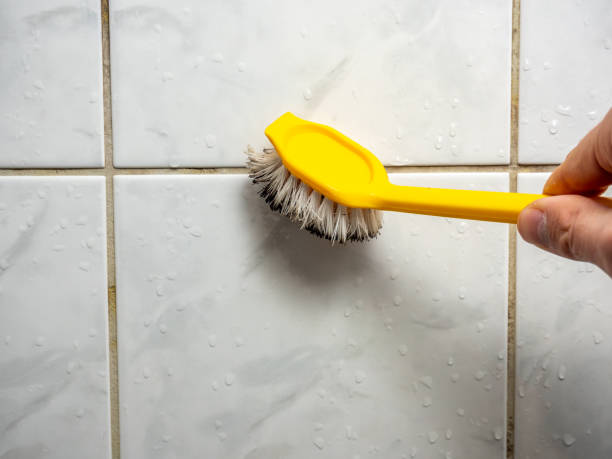 Best Professional Mold Removal  in Mccla, AL