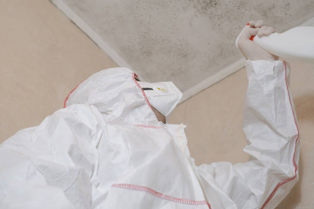 Best Toxic Mold Removal  in Mccla, AL