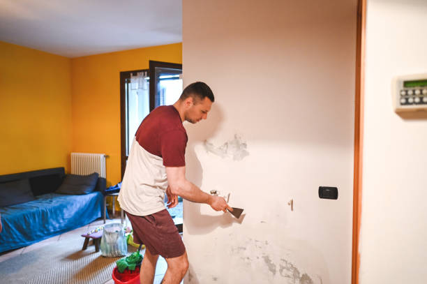 Best Crawl Space Mold Removal  in Mccla, AL